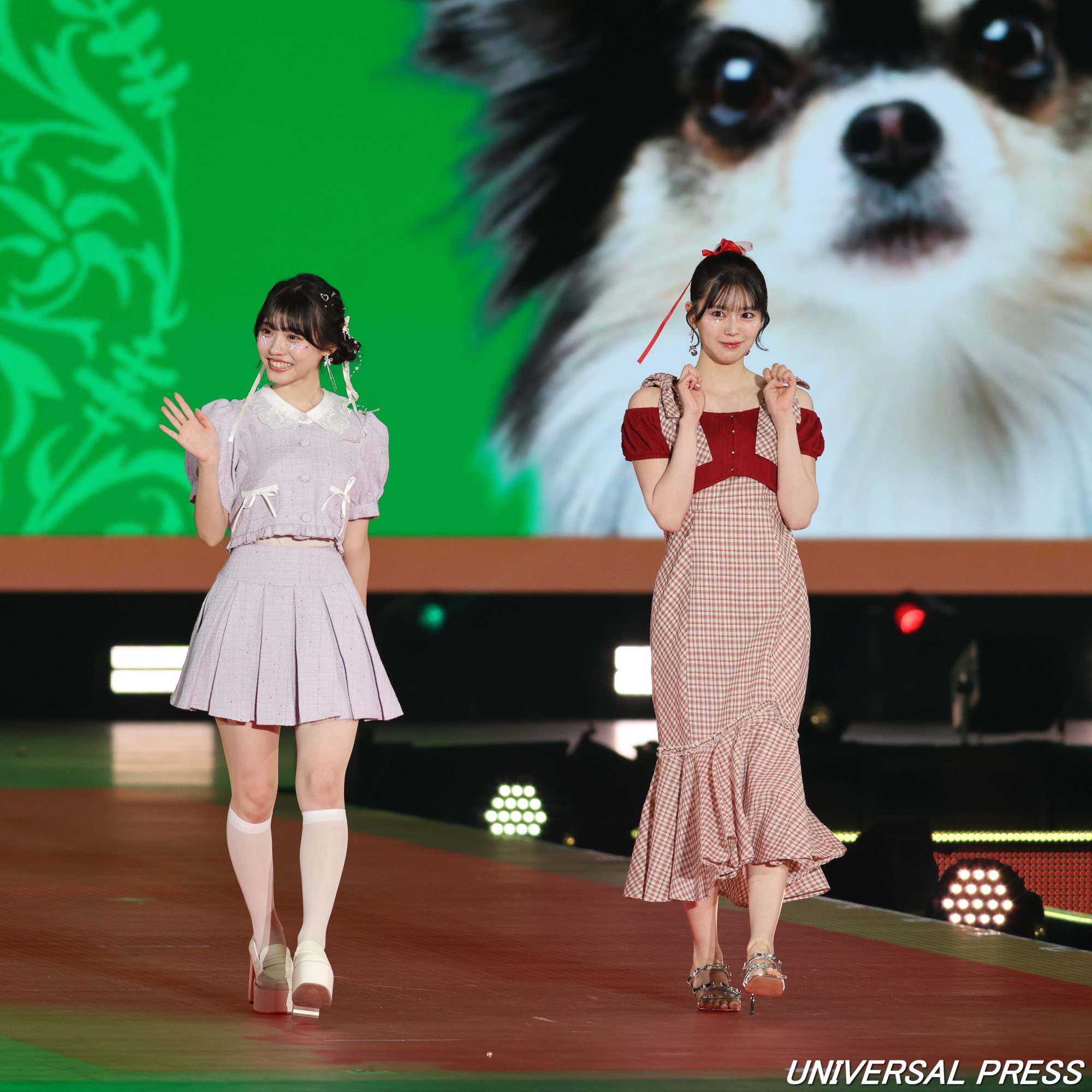 金澤亜美、坂井仁香「いなば協賛ステージ」でランウェイ